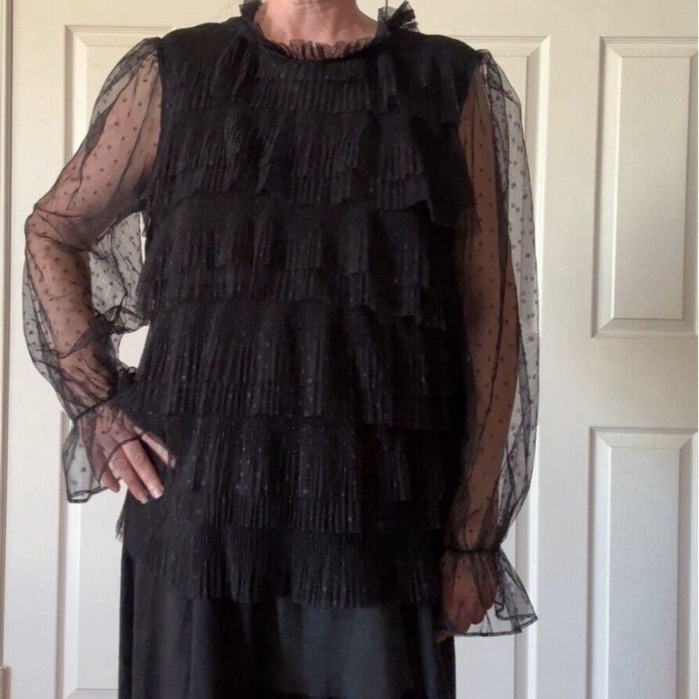 Express XL Black Sheer Chiffon Ruffle Blouse Long Sleeve Romantic Gothic